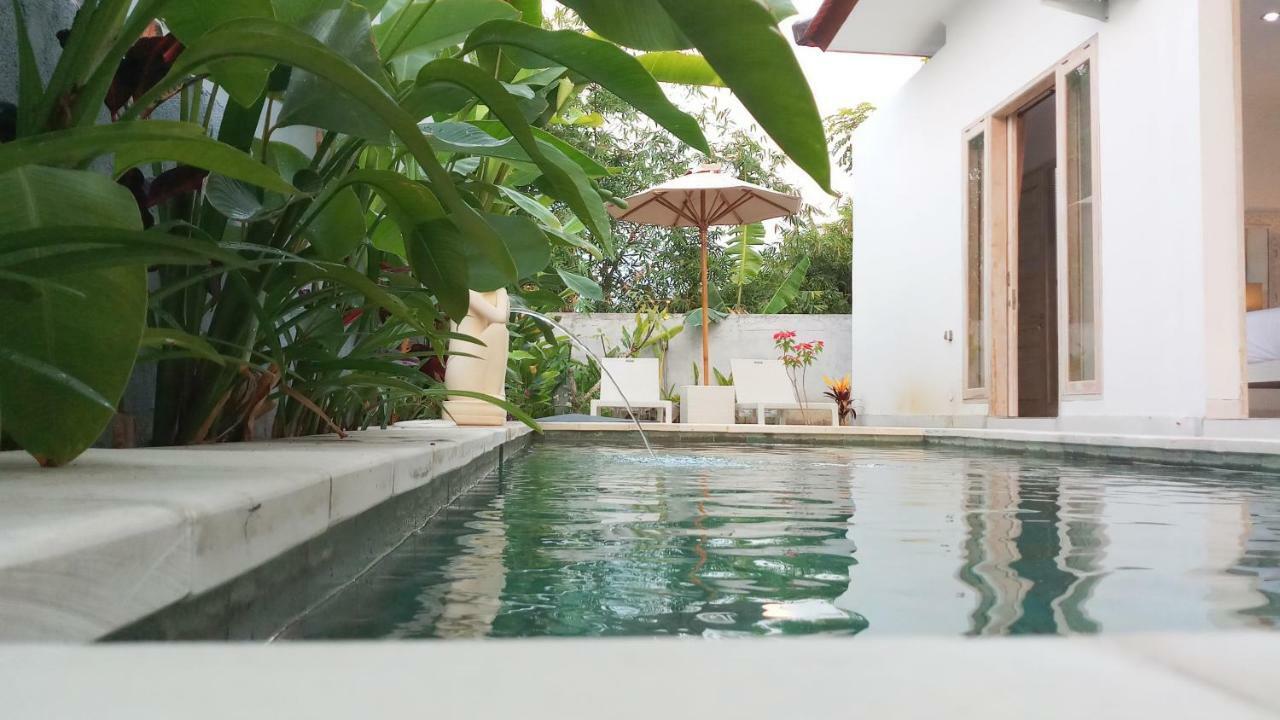 Villa Ummangur 2 Bedroom Private Villa Near Lovina Banjar  外观 照片